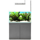 2.6 Feet Ultra Clear Open Tank (L*W*H = 80*40*40 Cms) | 8mm