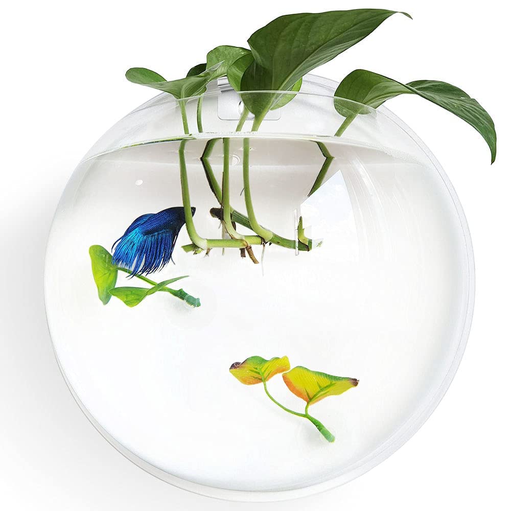 Wall Hanging Fish Bowl (15 Inches)