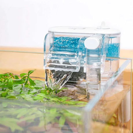 Cube One Mini Paludarium With Landscape & Kit