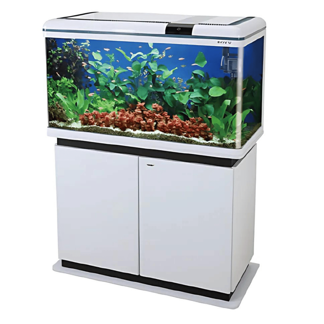 BOYU XF-80 (L*W*H = 80*36*57 cms) Aquarium Only