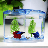 Betta Tank Dophin BT104 Rectangle (1 L)