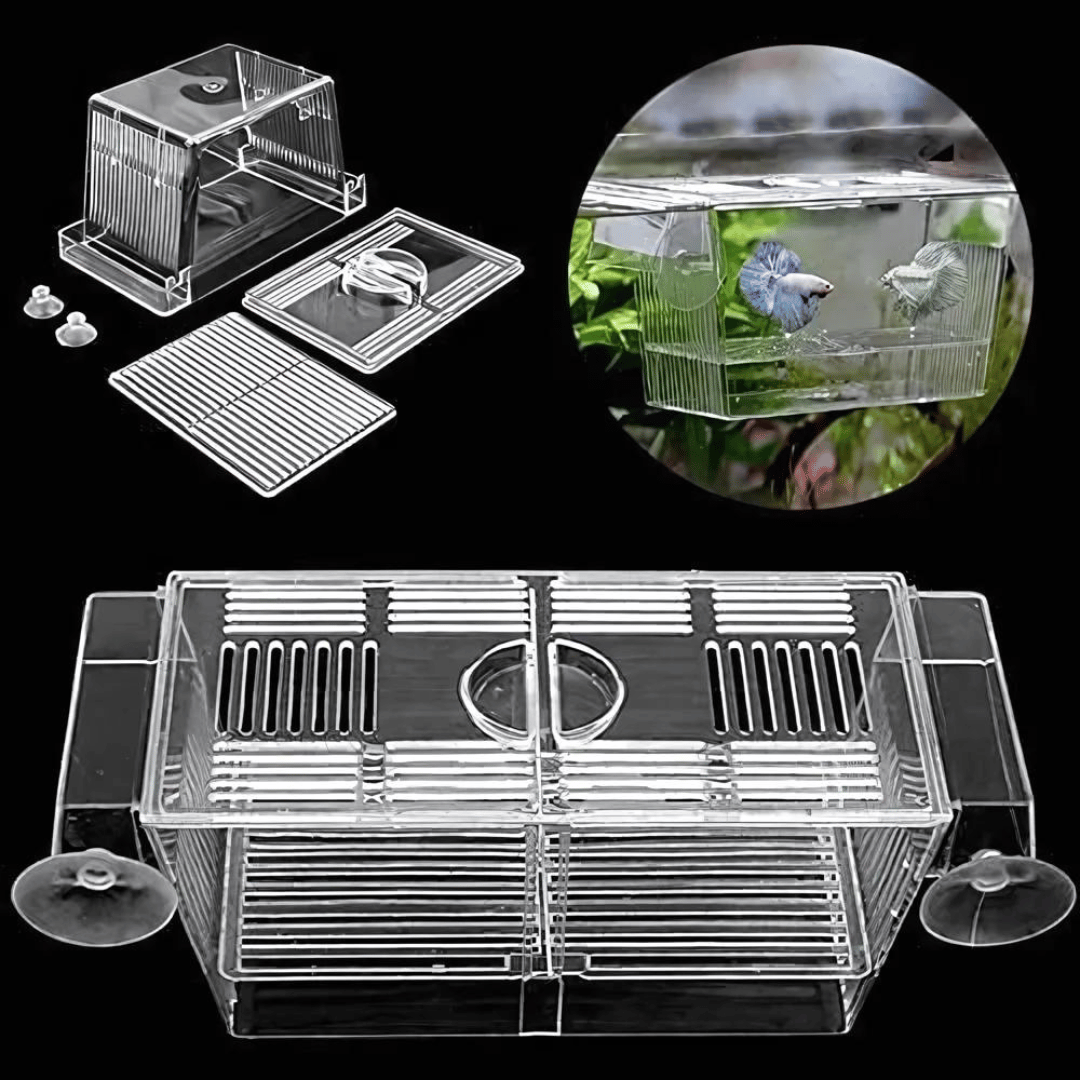 Breading Box | Breeding Net