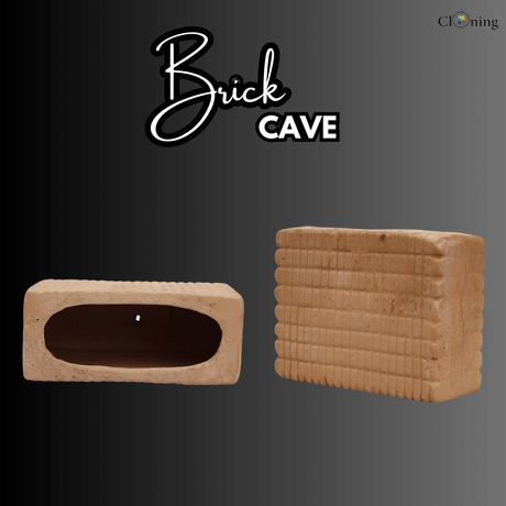 Japanese Clay | Brick Cave Clay  | Single