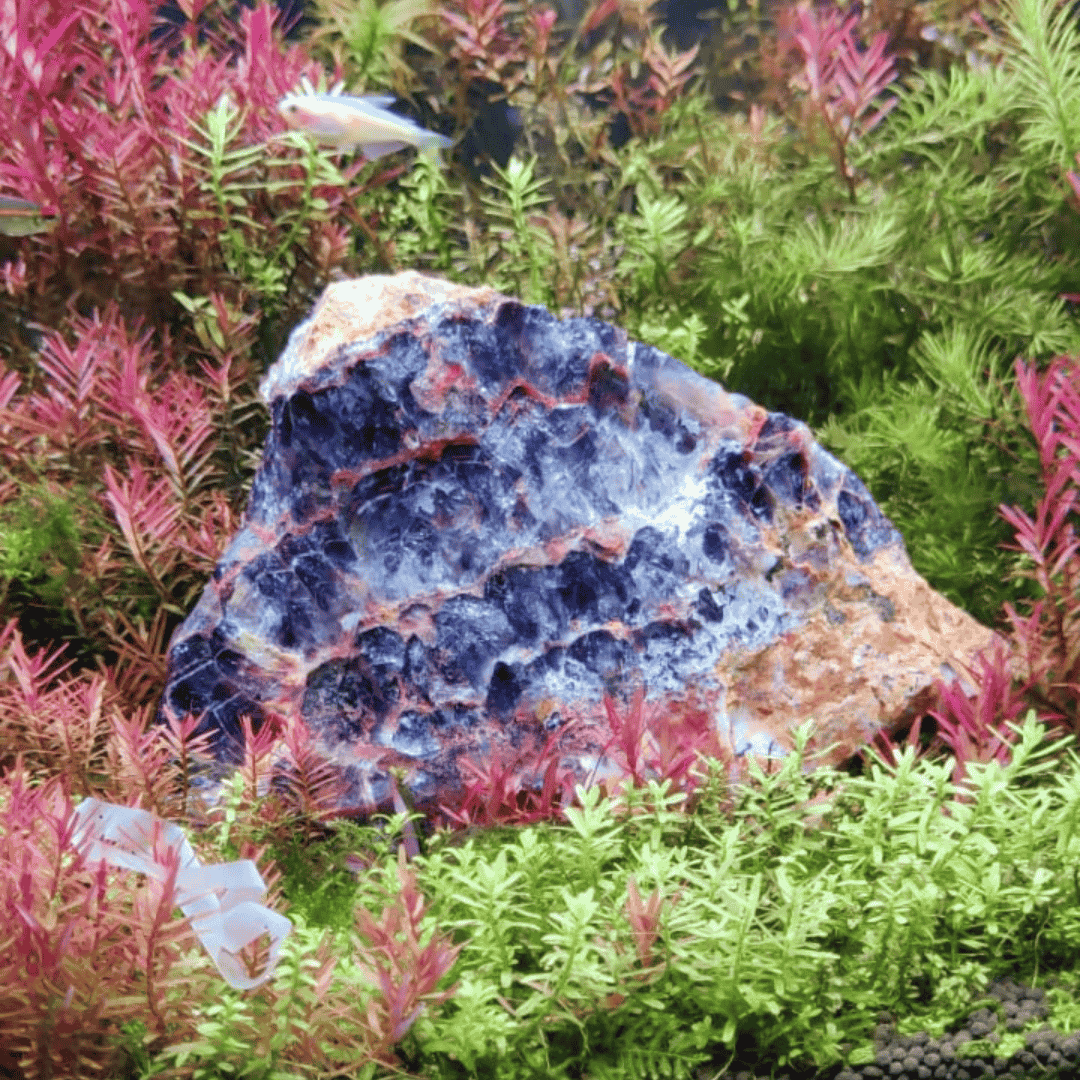 Decor Blue Diamond Seiryu Rock | 1 kg