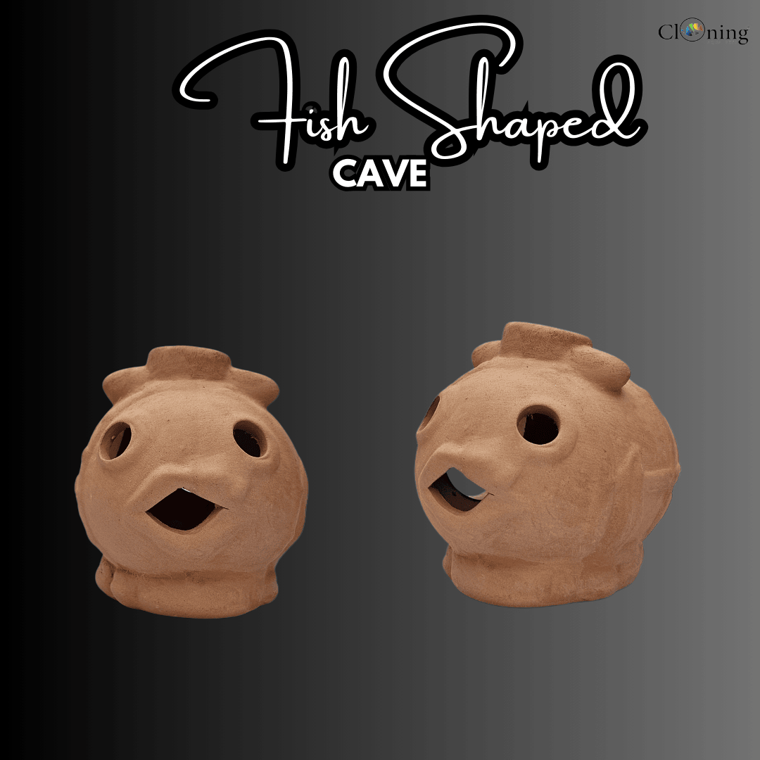 Fish Cave Clay Toy