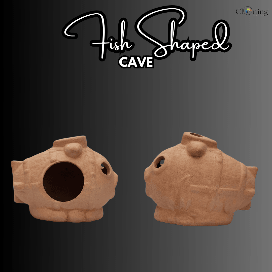 Japanese Clay | Fish Shaped Cave Clay  | Single