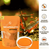 Food Artemia Cysts Decaps Dried 50gm