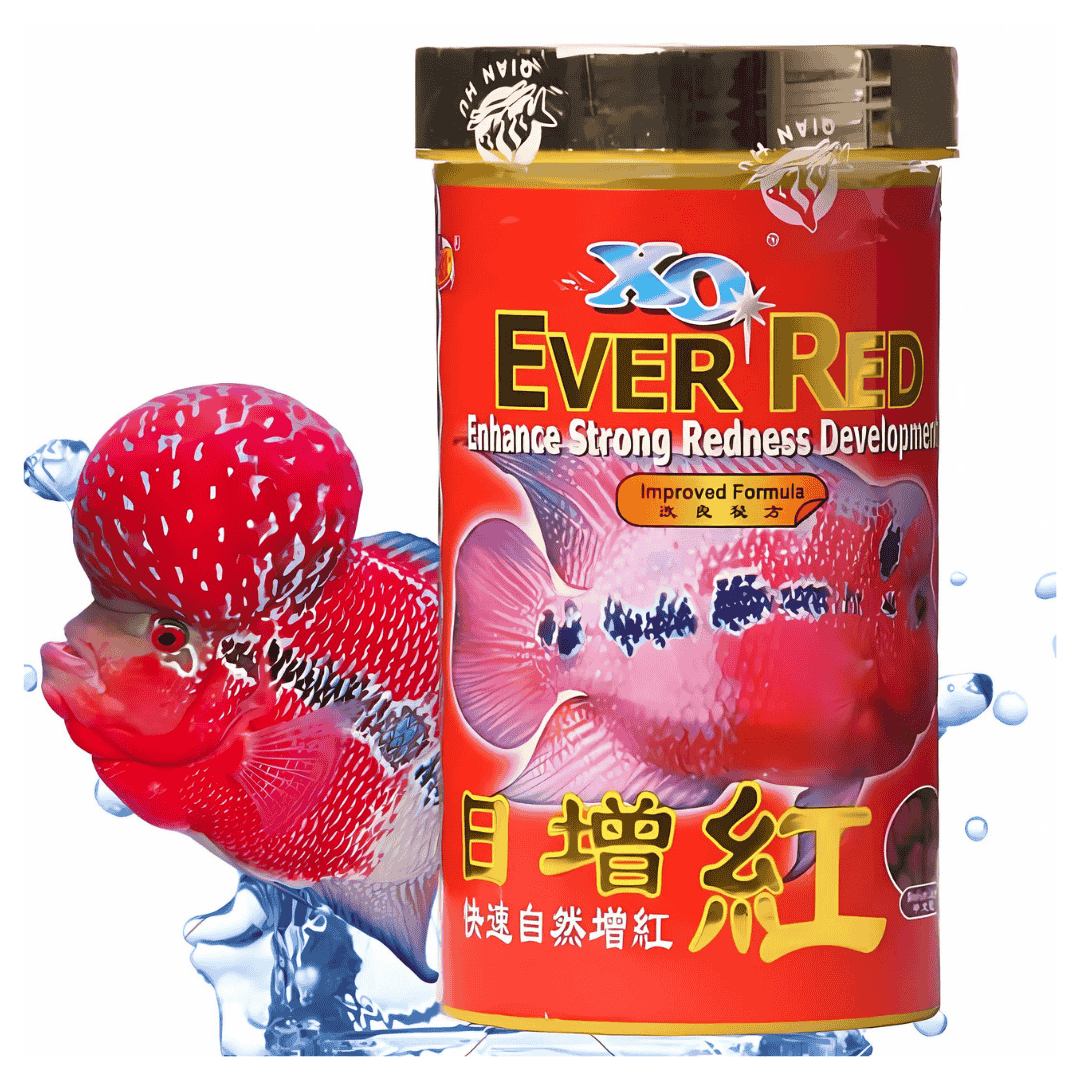 Food Ocean Free XO Ever Red 120gm