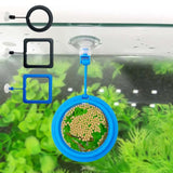 Gadgets Circle Feeding Ring | Free Duckweed Oxygenating Live Plant