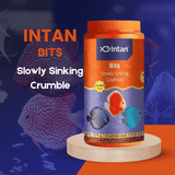 Intan Bits Slowly Sinking Crumble Jumbo 375gm