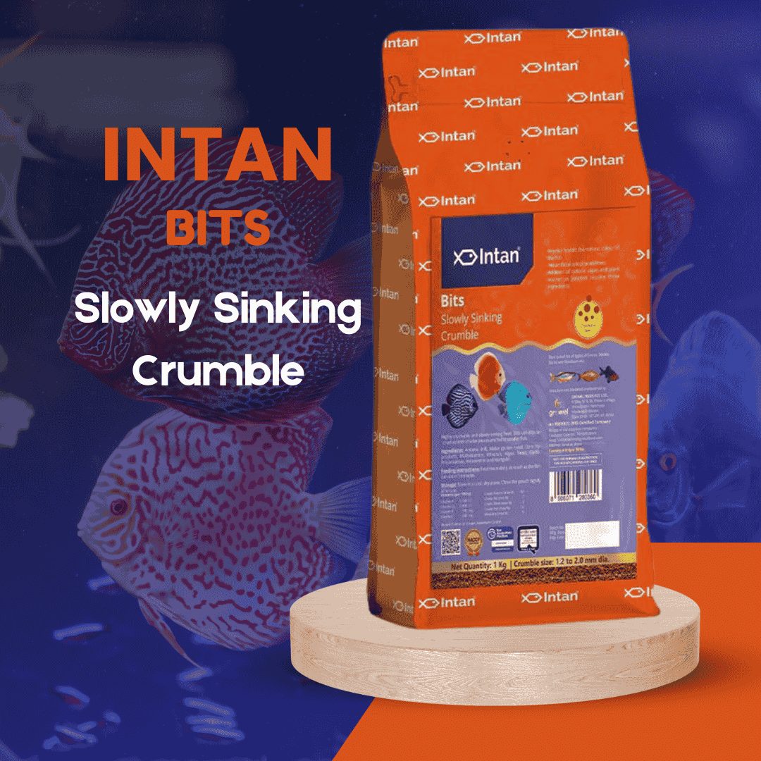 Intan Bits Slowly Sinking Crumble Pouch 1000gm