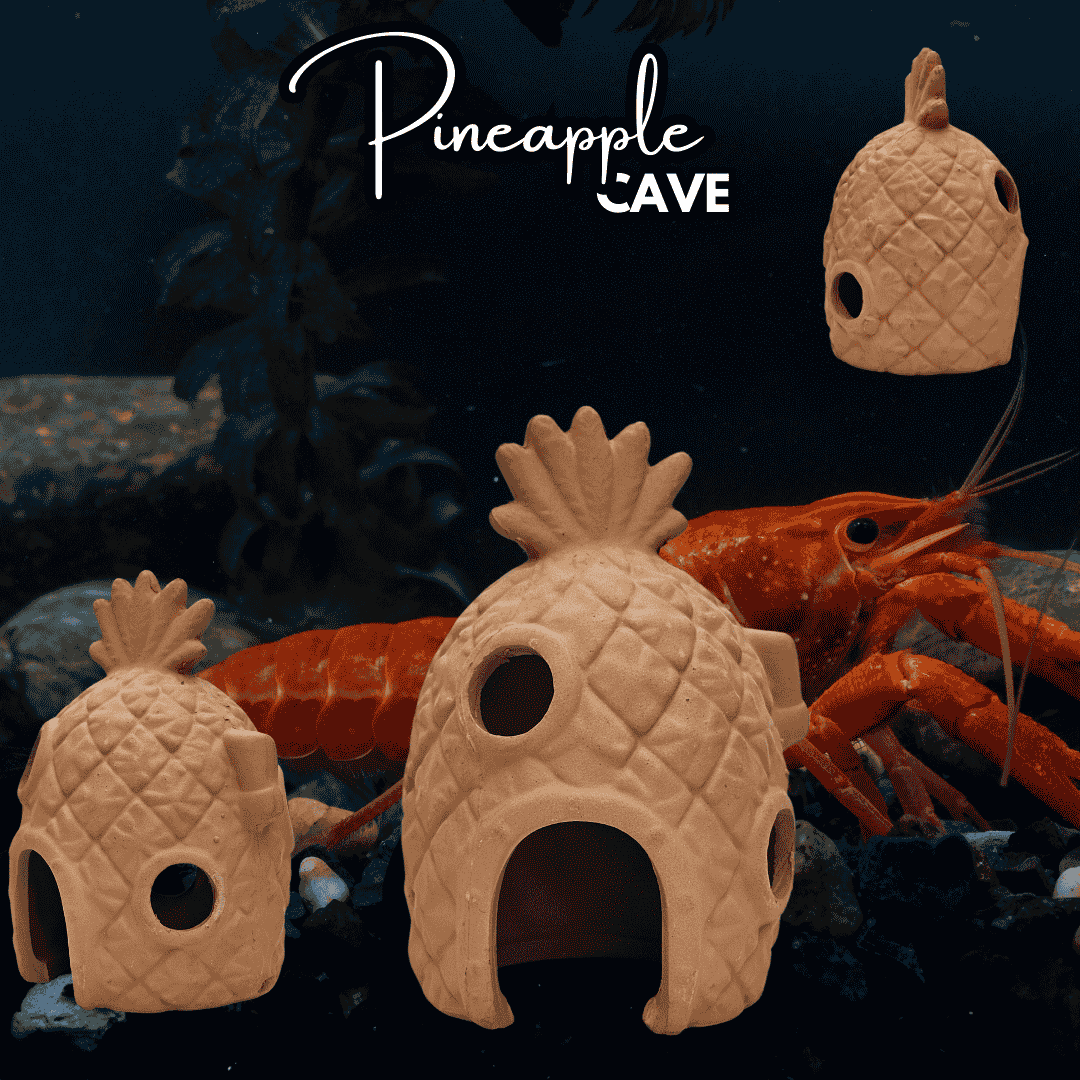 Japanese Clay | Pineapple Cave Clay| Single