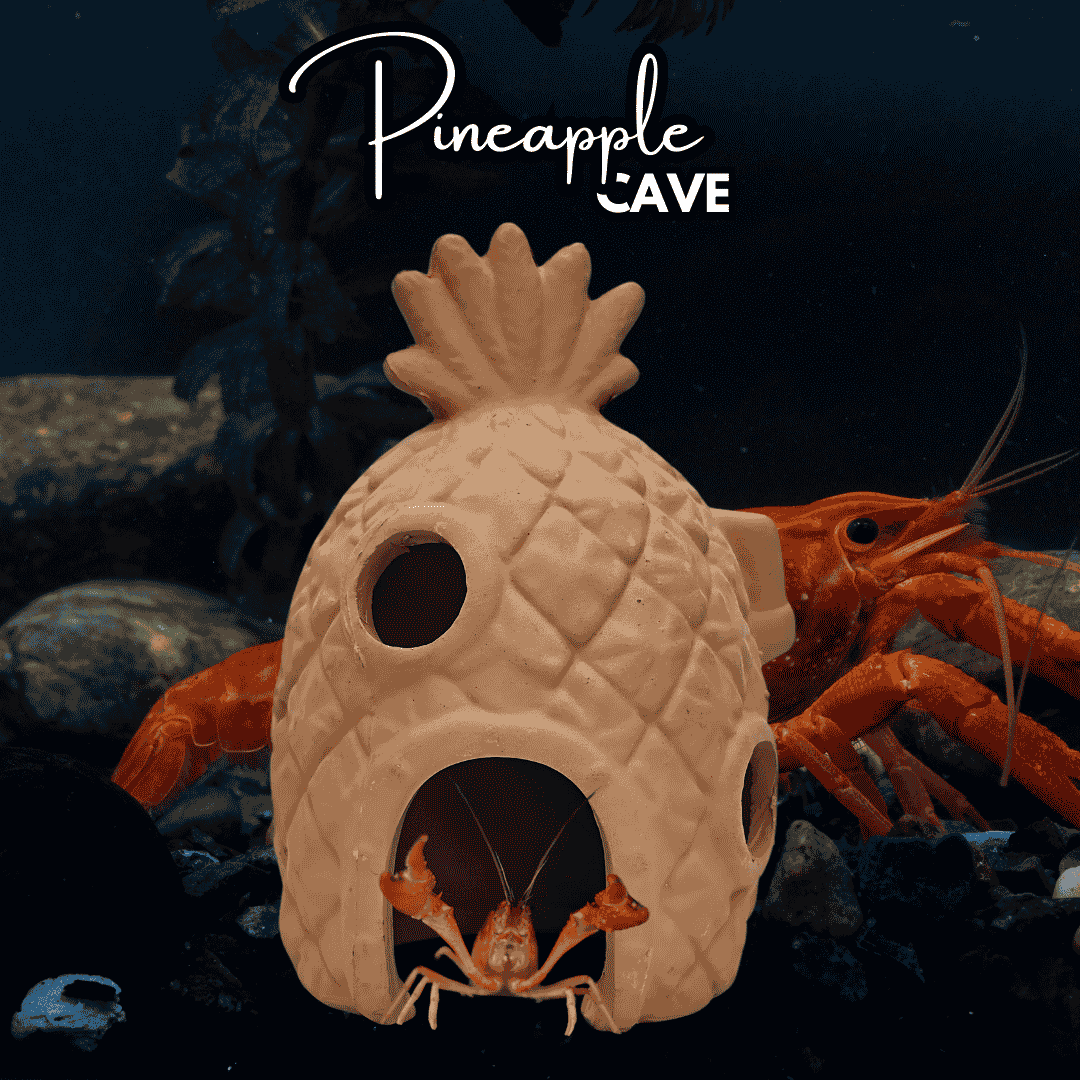 Pineapple Cave Clay toy