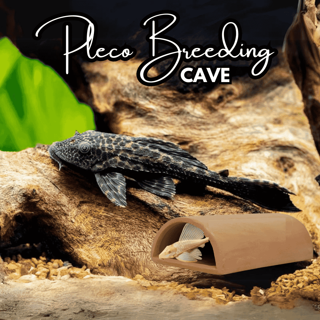 Pleco Breeding Cave Clay Toy