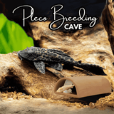 Japanese Clay | Pleco Breeding Cave Clay | Single