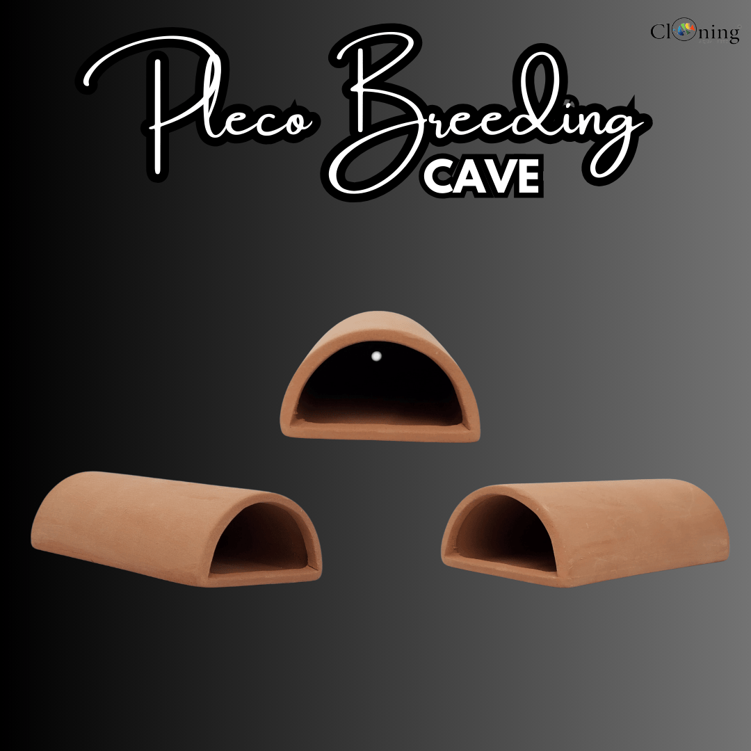 Pleco Breeding Cave Clay Toy