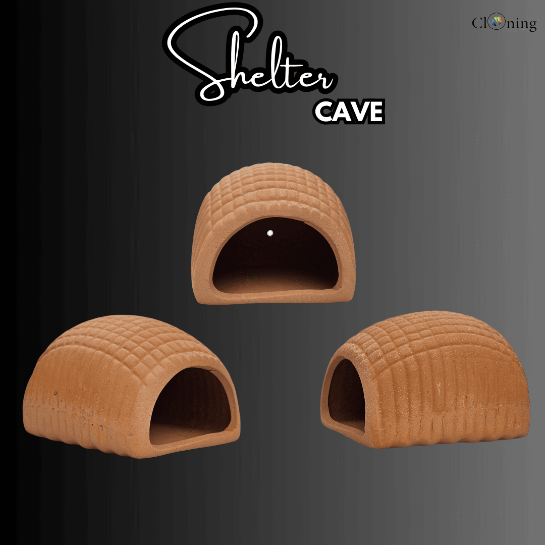 Shelter Cave Clay Toy