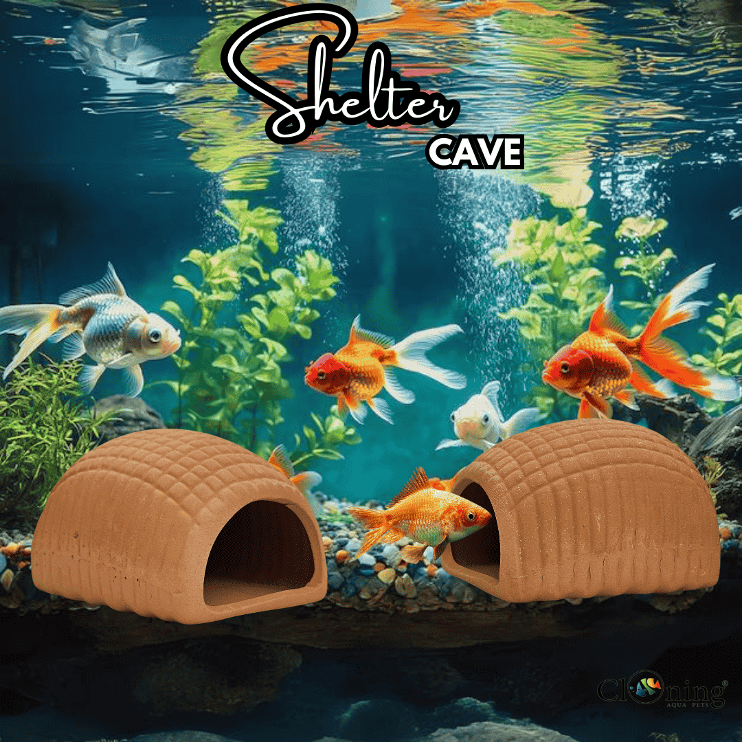 Japanese Clay | Shelter Cave Clay | Single