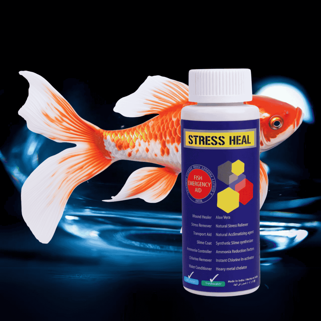 Medicine Aquatic Remedies Stress Heal