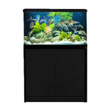 Fivestar 2.6 Feet Curve Tank With Cabinet (L*W*H = 82*35*59 cms)