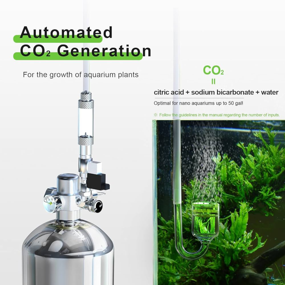 CO2 Fully Automatic Kit With Timer cloningaquapets