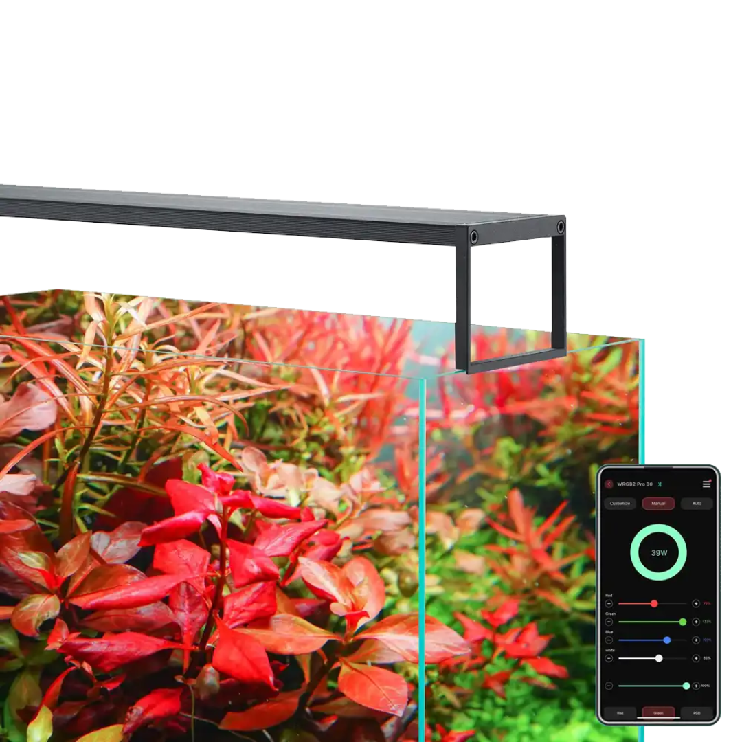 CHIHIROS LED WRGB II Slim-90 For Planted Aquarium – Bluetooth Edition