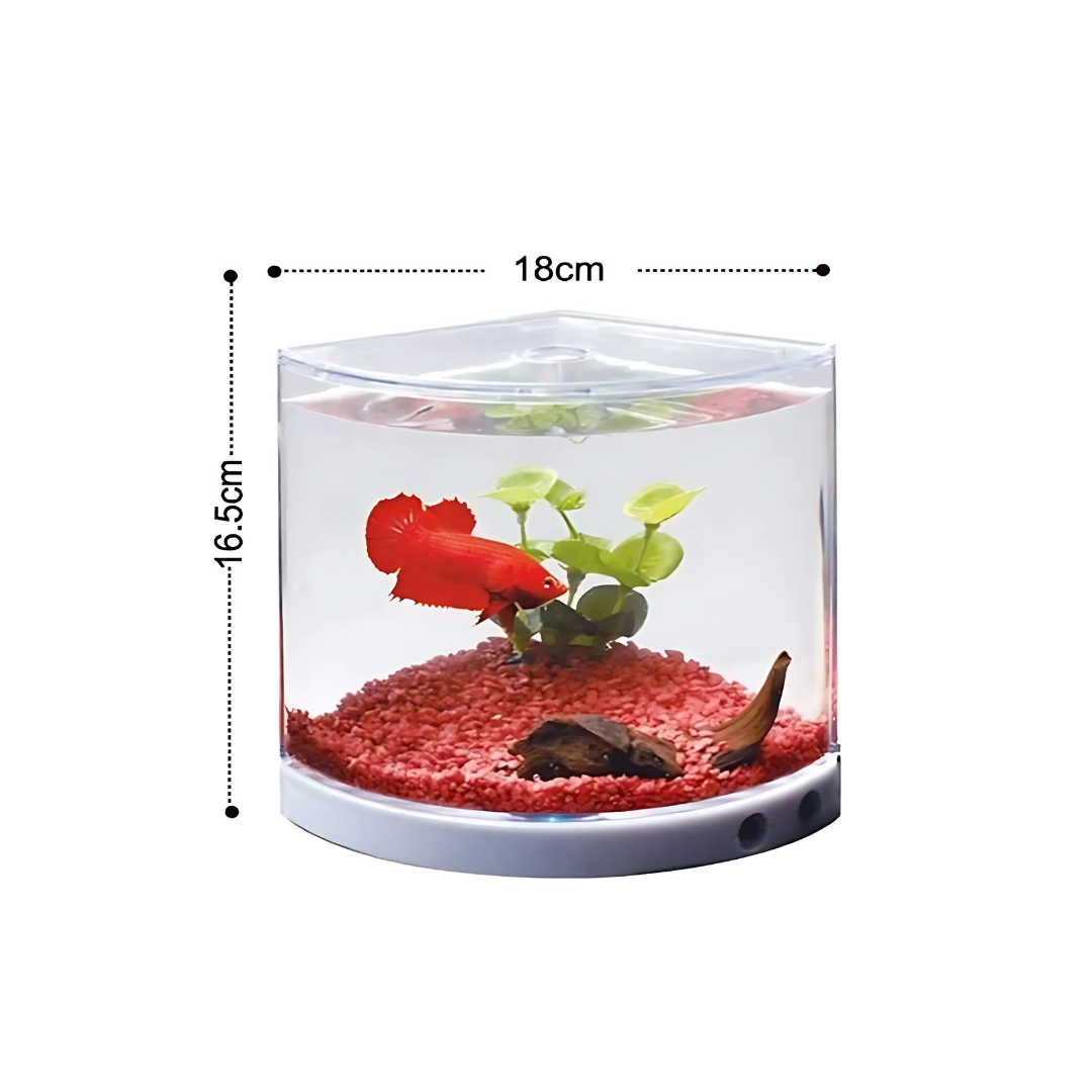 Betta Tank Dophin T 101 Half Cylinder 1 L cloningaquapets