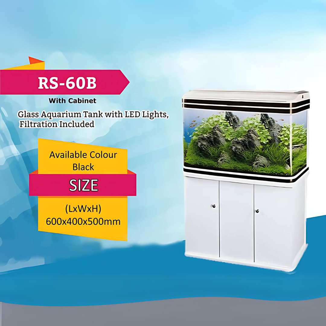 RS Electrical Glass Aquarium RS-60B (L*W*H = 60*40*50 cms) Tank Only