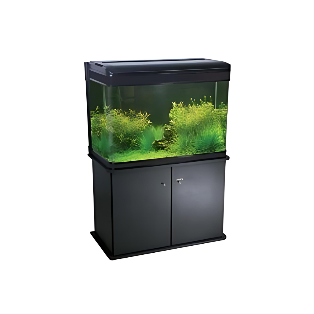 RS Electrical Glass Aquarium Only RS-100B (L*W*H = 81*40*60 cms)