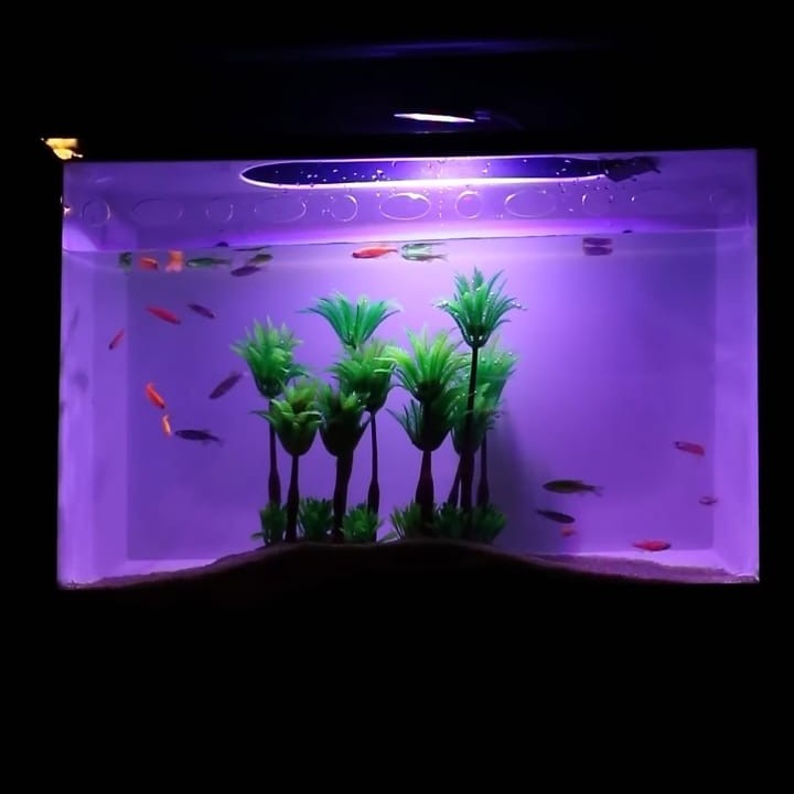 Wall Hanging Fish Tank (18*12*6 Inches)